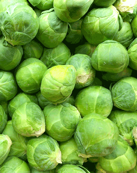 IQF Brussel Sprouts